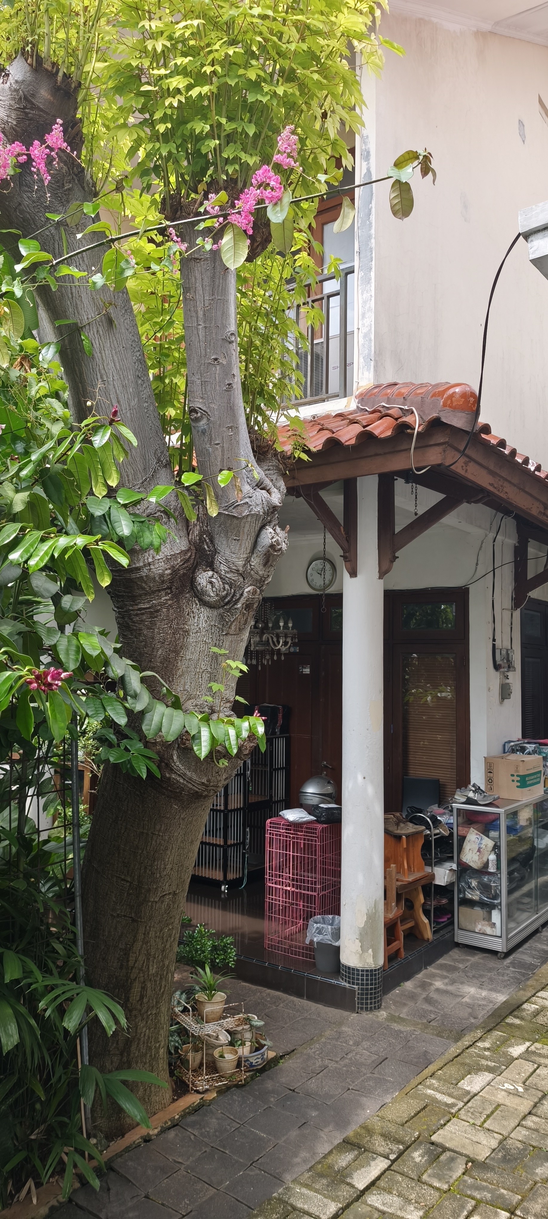 Rumah Paviliun 1